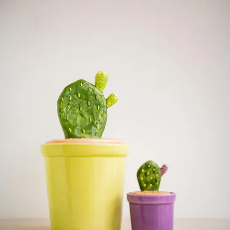 Il Gabbiano 奥特朗托